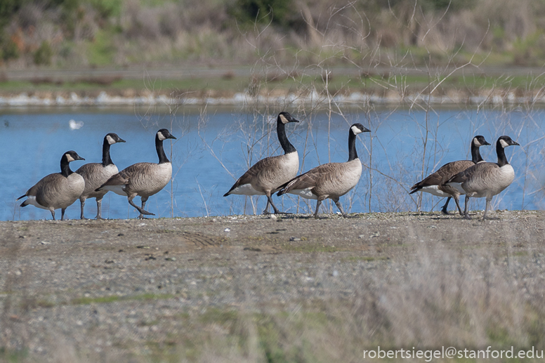 shoreline park